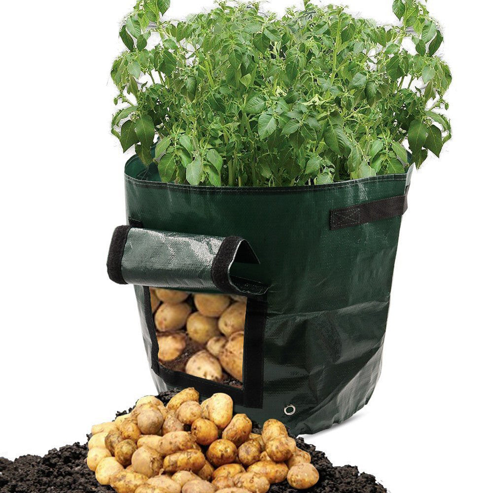 GreenGuard PlantPro™ - Eco-Friendly PE Garden Planting Bag