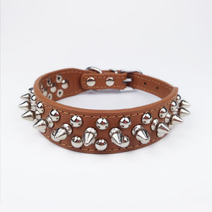 WillowStud Leather Canine Collar
