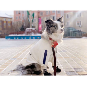 Fashion brand cat and dog clothes