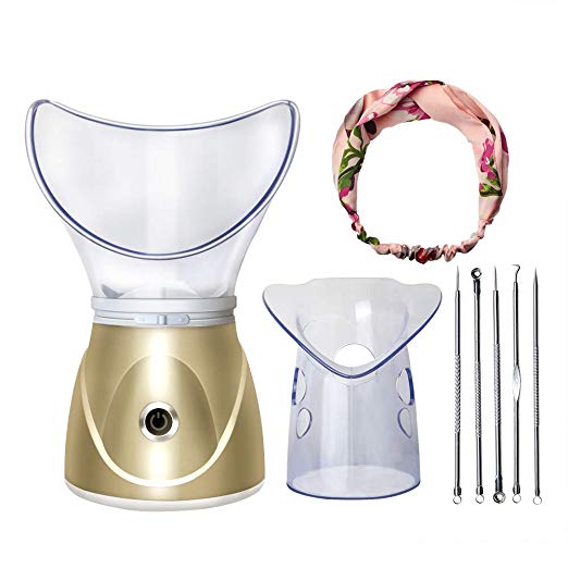Beauty steaming face instrument