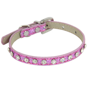 Starlight Strut Pet Collar