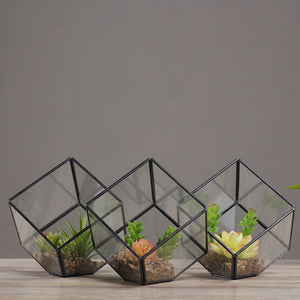 Oblique Square Small Glass Greenhouse