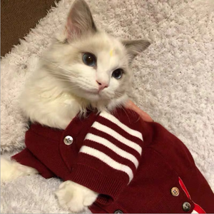 Sweet cat cardigan