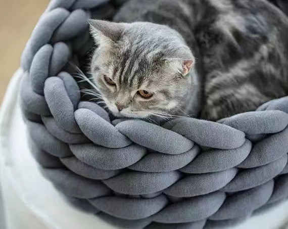 Cat bed from granny