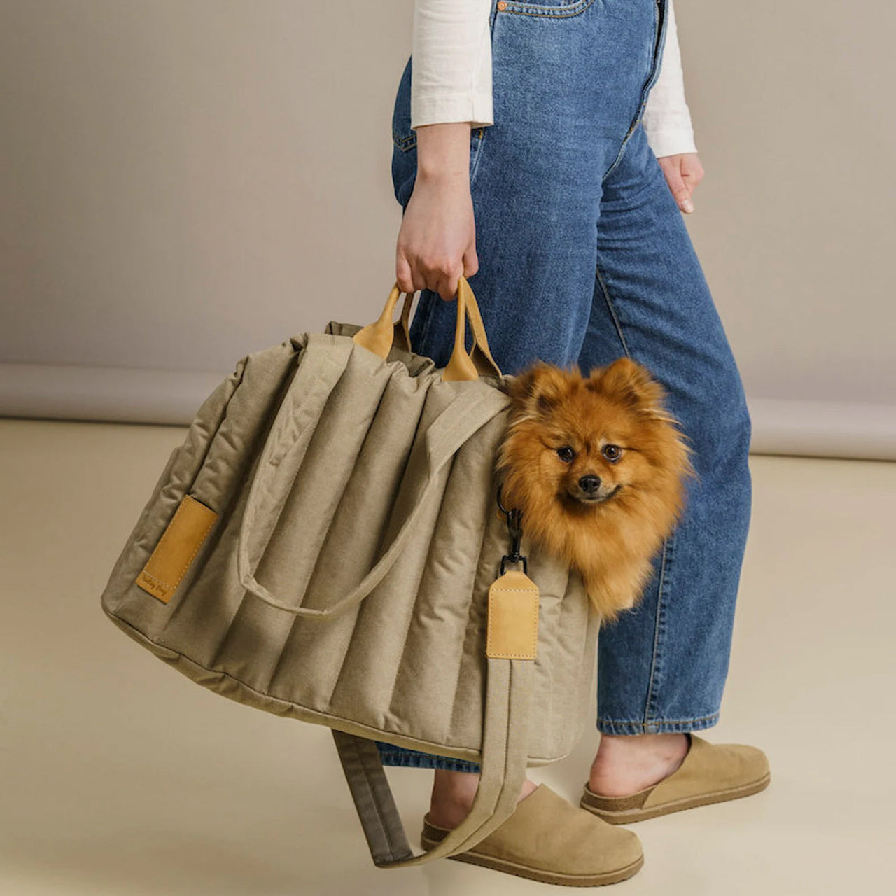 PawsAway Luxe Pet Travel Tote