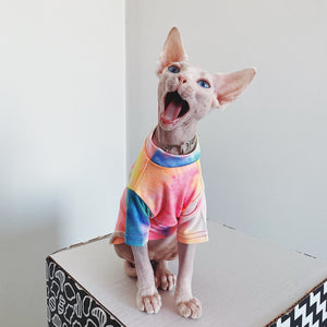 Sphynx Rainbow