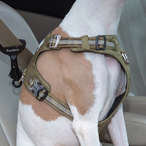 Pet Safety Buckle Car Supplies