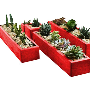 Box Succulent & Cactus pot