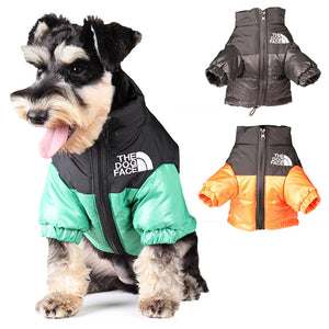 Stylisch dog jacket
