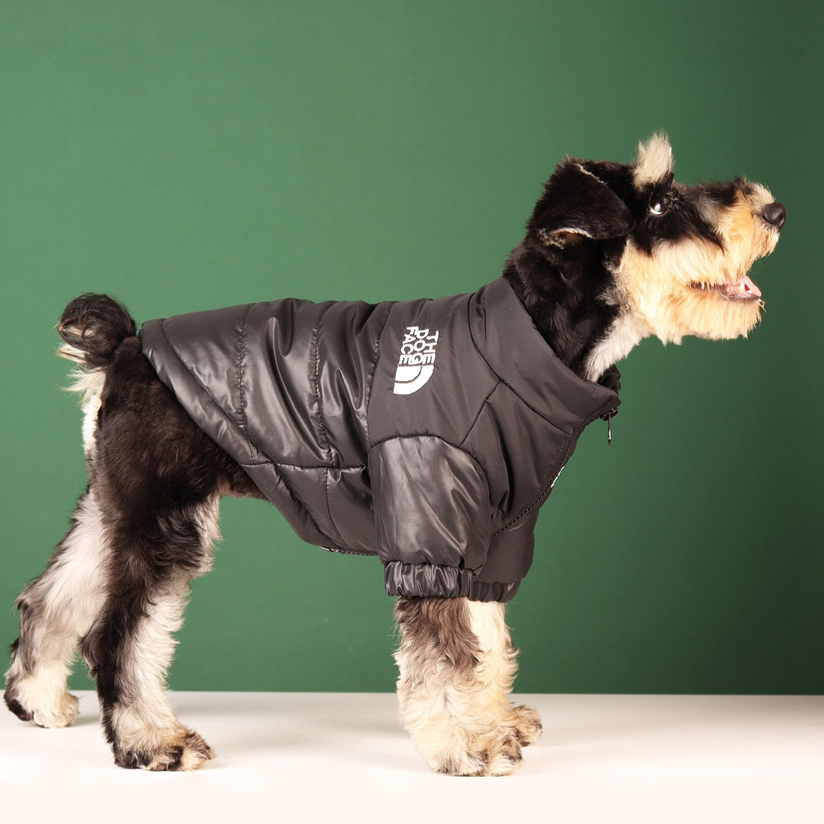 Stylisch dog jacket