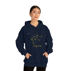 Aquarius - Unisex Heavy Blend™ Hooded Sweatshirt