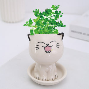 Mini Cat Shaped Cartoon Ceramic Flowerpot