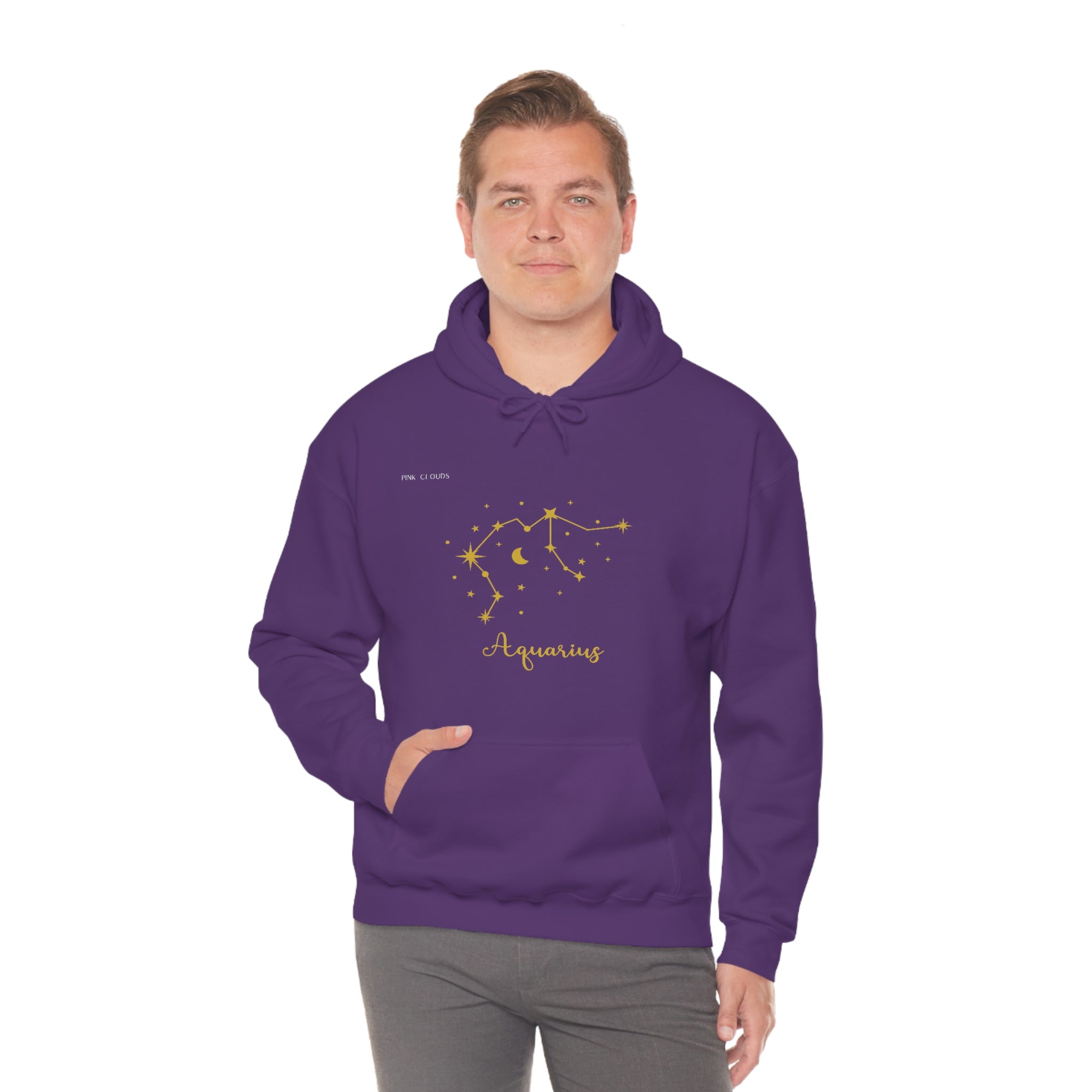 Aquarius - Unisex Heavy Blend™ Hooded Sweatshirt