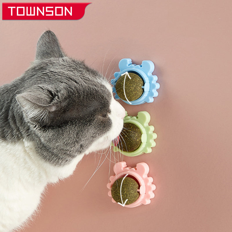 Healthy Cat Catnip Toys Snack